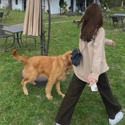 糊涂拍档